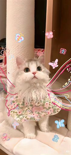 a white cat dressed as a fairy sitting on top of a table next to a toilet paper roll