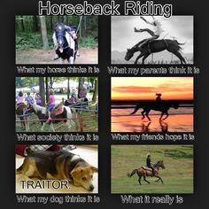 horse back riding meme with pictures of horses and their rider's names on them