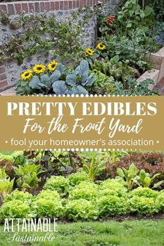 a garden filled with lots of green plants and flowers next to a brick wall that reads pretty edibles for the front yard