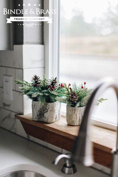 two potted plants sitting on top of a counter next to a kitchen faucet