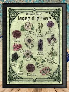 an old fashioned poster with flowers in it's ornate frame and the words language of the flowers