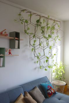 a living room with a blue couch and green plants hanging on the wall above it