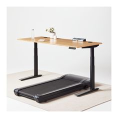 a desk that has a treadmill on top of it and a plant in the middle