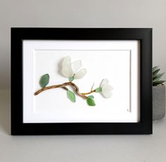 a white flower and green leaves on a branch in a black frame next to a succulent plant