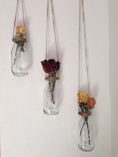 three hanging vases with flowers in them