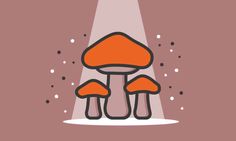 an orange mushroom sitting in the middle of a stage with spotlights on it's side