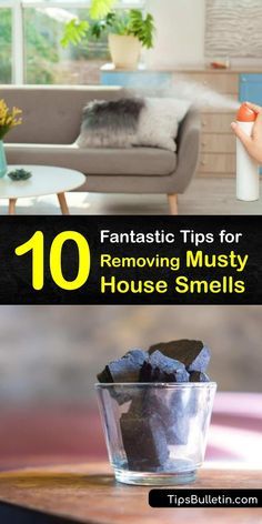 the top 10 fantastic tips for removing murky house smells