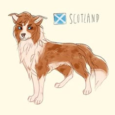 a brown and white dog standing next to the word scotland