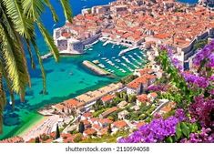 an aerial view of the city and harbor in dubna, croatia with purple flowers on the foreground