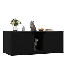 a cat sitting on top of a black cabinet next to a vase with flowers and fruit