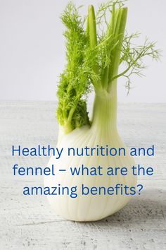 We consider healthy nutrition and fennel - this wonder herb promotes bone and digestive system health, also providing protection against heart disease, many cancers and type 2 diabetes Benefits Of Fennel, Prevent Constipation, Chronic Condition, Cardiovascular Health, Bone Health, Digestive System