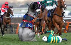 horses and jockeys racing on the grass at a horse race track, with one person laying on the ground in front of them