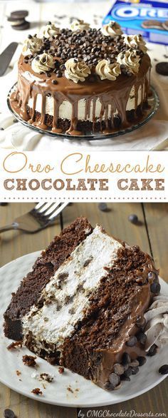 a chocolate cake with white frosting and chocolate chips on top, sitting on a plate