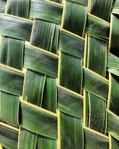 a close up view of a woven bamboo basket with green leaves on it's sides