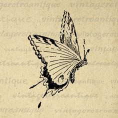 a drawing of a butterfly on a piece of brown paper with black and white ink