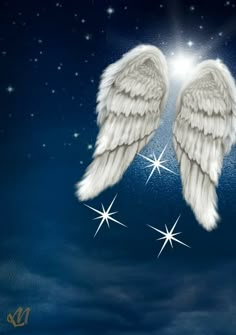 two white angel wings with shining stars in the sky