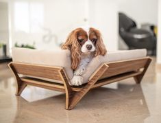 a small dog sitting on top of a wooden bed in the middle of a living room