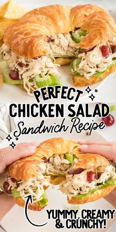 the chicken salad sandwich is cut in half and ready to be eaten