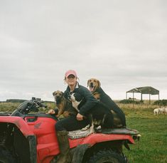 British Farmer Aesthetic, Working On A Farm Aesthetic, English Farm Aesthetic, Country Wife Life, Female Farmer Aesthetic, Summer On The Farm, Farm Land Aesthetic, Farmer Astethic, Farm Work Aesthetic