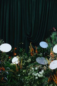 an array of white plates sitting on top of a lush green field next to a black curtain