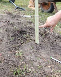 a person pointing at something in the ground with their hand on it's side