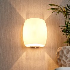 a wall light next to a potted plant on the side of a wall in a room