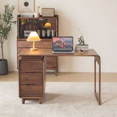 a desk with a laptop on it in front of a book shelf and potted plant