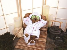 a teddy bear with cucumber on its face is sitting in a bamboo chair