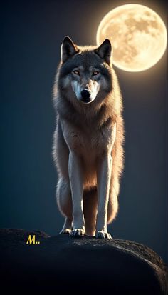 a wolf standing on top of a rock with the moon in the background