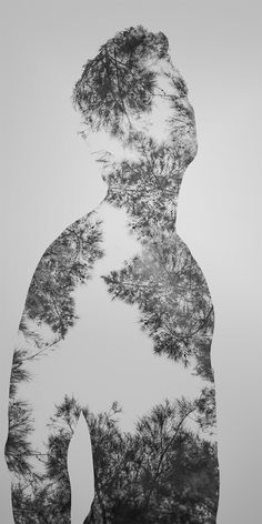 the silhouette of a man with trees reflected in his body's back and shoulders