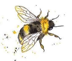 a drawing of a bee with yellow and black spots on it's wings, sitting in front of a white background