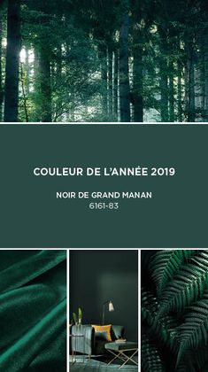 the cover of couleur de l 'annee 2019, featuring green trees and chairs