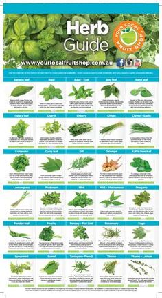 the herb guide is shown in this poster