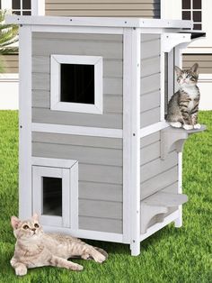 a cat sitting on top of a wooden house next to a gray and white cat