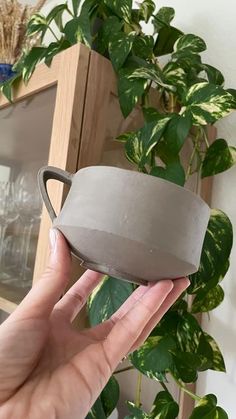 a hand holding a gray container in front of a potted plant