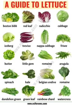 a guide to lettuce is shown in this poster, which shows the different types of lettuce