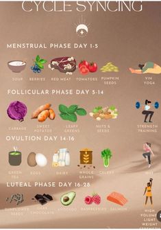 Hormone Nutrition, Cycling Food, Cycle Syncing, Healthy Hormones, Menstrual Health, Feminine Health, Hormone Health, Health Facts, Body Health