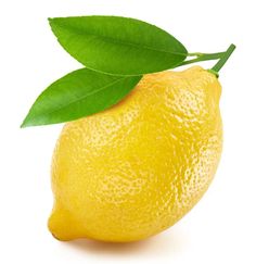 a lemon with a green leaf on it