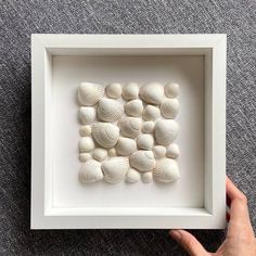 a hand holding a white frame with sea shells in it on top of a gray carpet