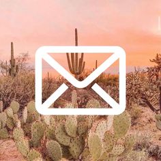 an email envelope surrounded by cacti and cactuses at sunset with the sky in the background