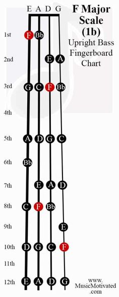 an image of a guitar string diagram