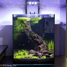 a fish tank with plants and rocks in it's bottom half is lit up