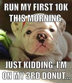 a white dog laying on top of a carpet next to a green ball and the caption reads run my first 10k this morning just kidding, i'm on my 3rd donut