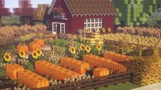 a farm scene with sunflowers, corn stalks and a red house in the background