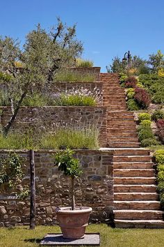 an outdoor garden with steps and plants on the top, in front of a stone wall