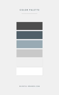 the color palette is shown in shades of blue, gray and white with text below