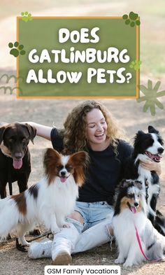 Does Gatlinburg Allow Pets? Mountain Town, Beautiful Mountains, Pet Friendly, Hiking