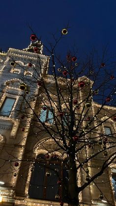 a tree with christmas lights in front of a building