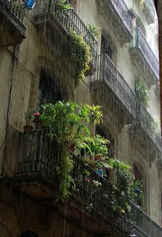 an apartment building with balconies and plants on the balconys in the rain