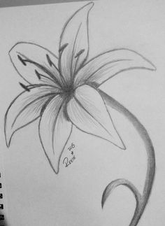 a pencil drawing of a flower on paper